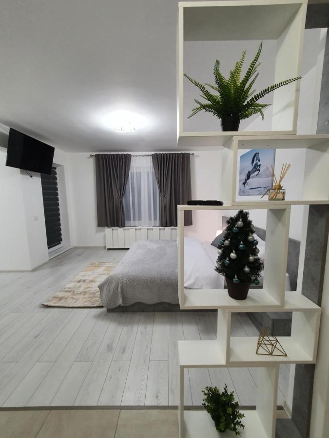 Fresh Mountain Brasov Appartamento Esterno foto